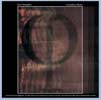 haikus-pochette-CD-100