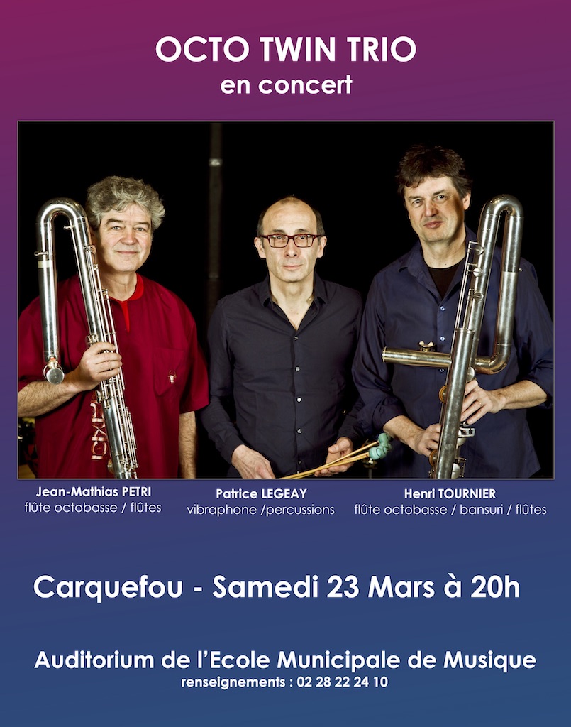 Octo Twin Trio en concert